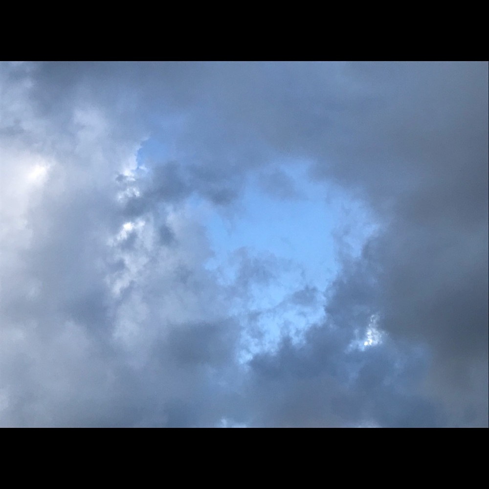 Meet your Posher, Fionnuala